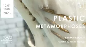 Пластични Метаморфози - визуална метафора за несъответствието между вътрешното и външното