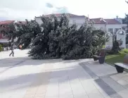 Щети за 270 хил. лв. нанесе ураганният вятър във Враца преди 14 дни