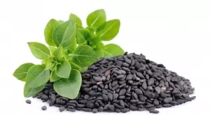 5 супер ползи от семената на босилек