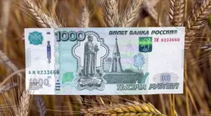 Египет може да плаща руското зърно в рубли