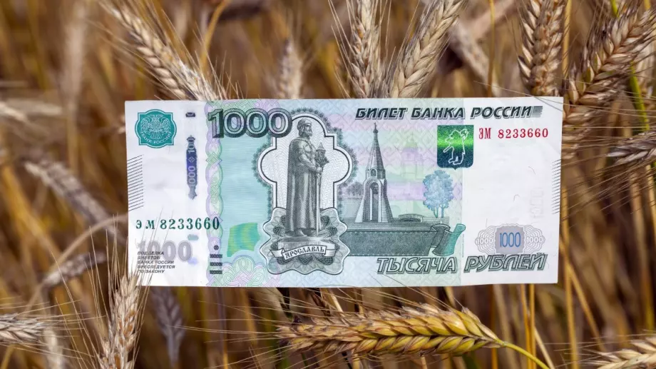 Две от компаниите в топ 6 на износителите на руско зърно напускат Русия