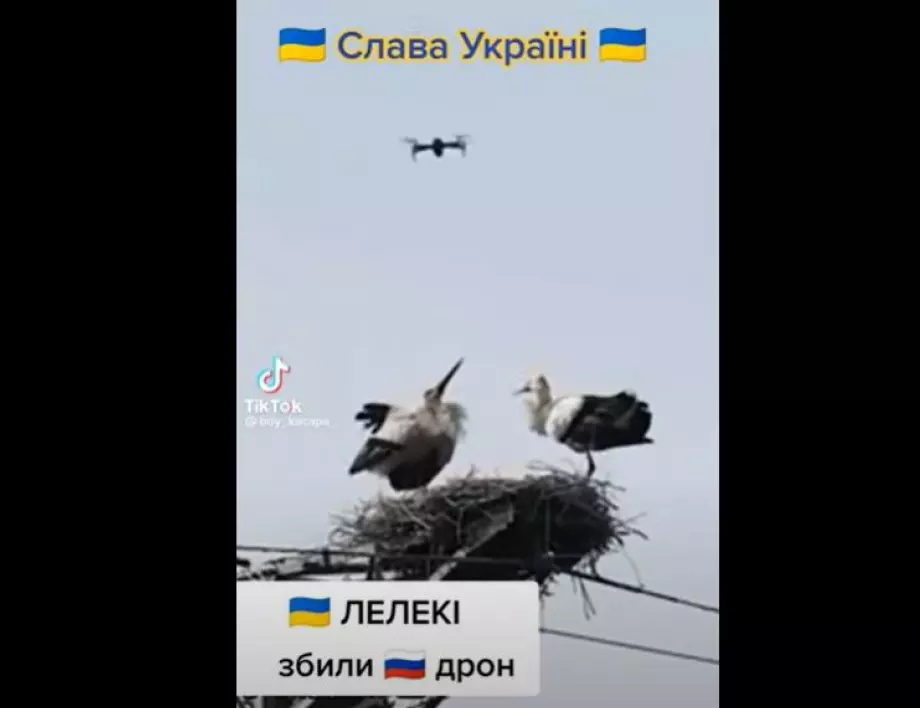 Украински щъркел свали руски дрон (ВИДЕО)