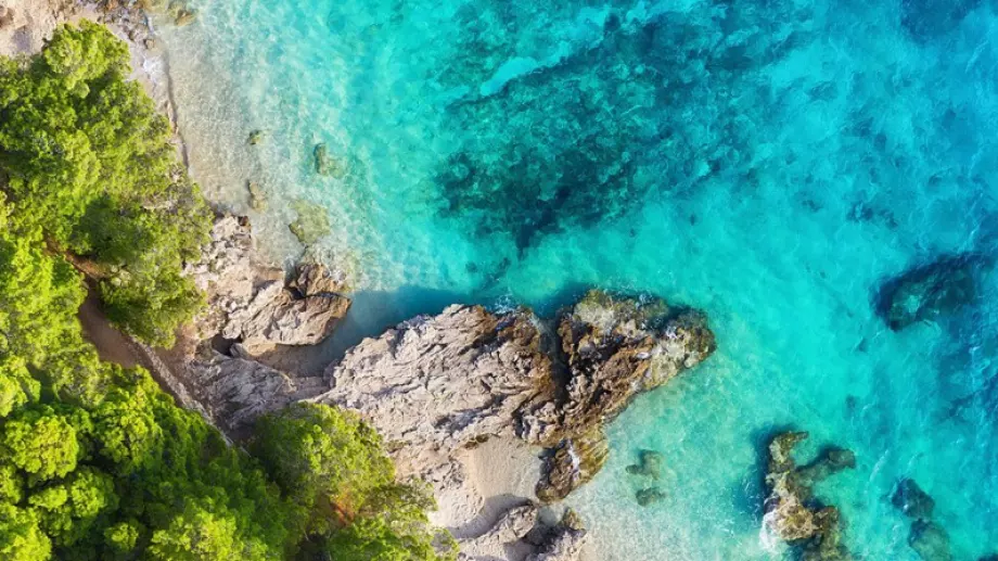 Прожектират 