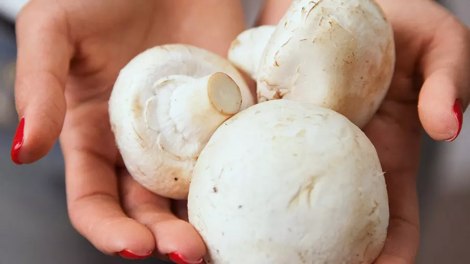 Това са ползите от консумацията на гъби