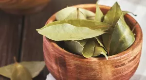 Имате ли дафинов лист у дома, нямате нужда от лекарства