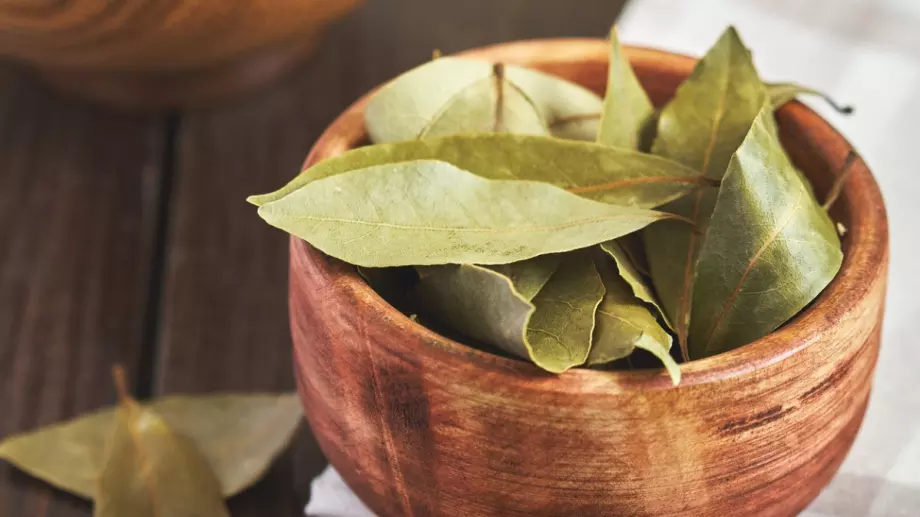 Какво ще се случи, ако сложите дафинов лист под възглавницата си?