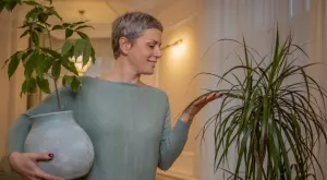 4 лесни трика за отглеждане на палма у дома