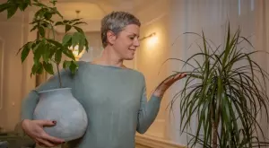 5 стайни растения, които са много полезни за вашето здраве