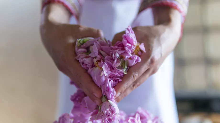 България и Франция в защита на розовото масло, ЕК се готви да го обяви за токсично