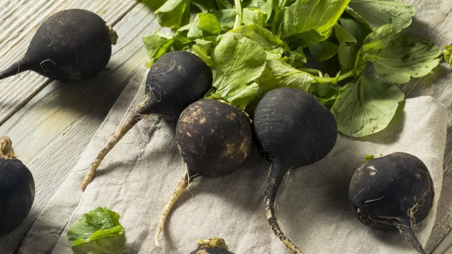 Супер полезна рецепта с черна ряпа