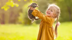 Стихотворение за 6 май 2023