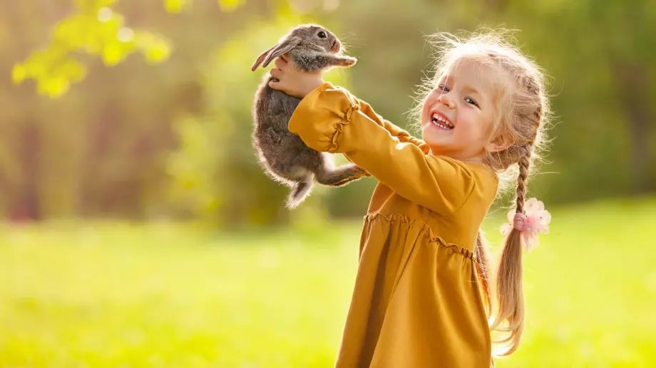 Стихотворение за 6 май 2023