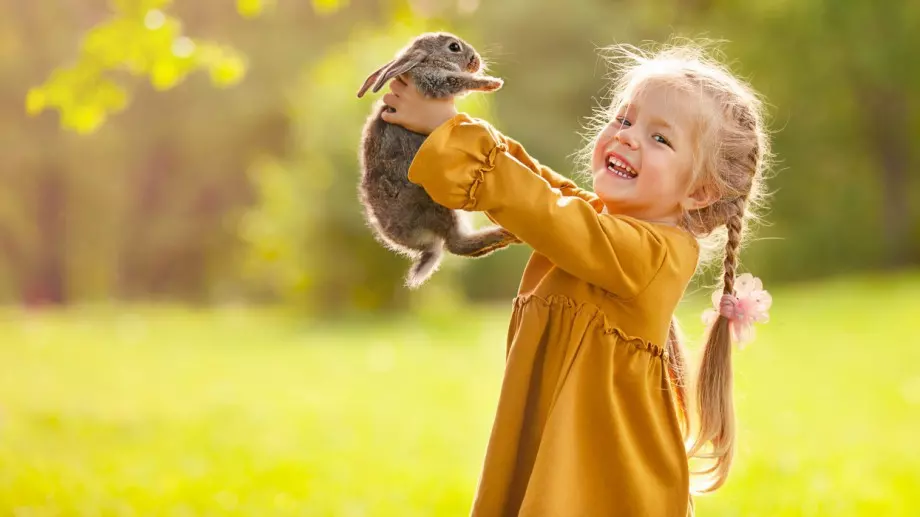 Стихотворение за 27 октомври 2023