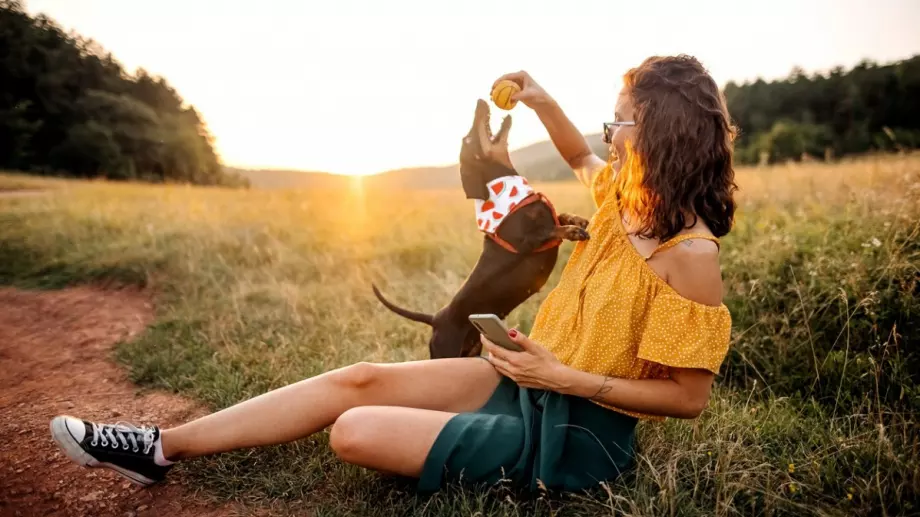 Намислете си число от 1 до 20 и вижте своя късмет!