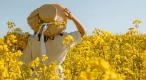 Ето кога настъпва астрономическото лято през 2023