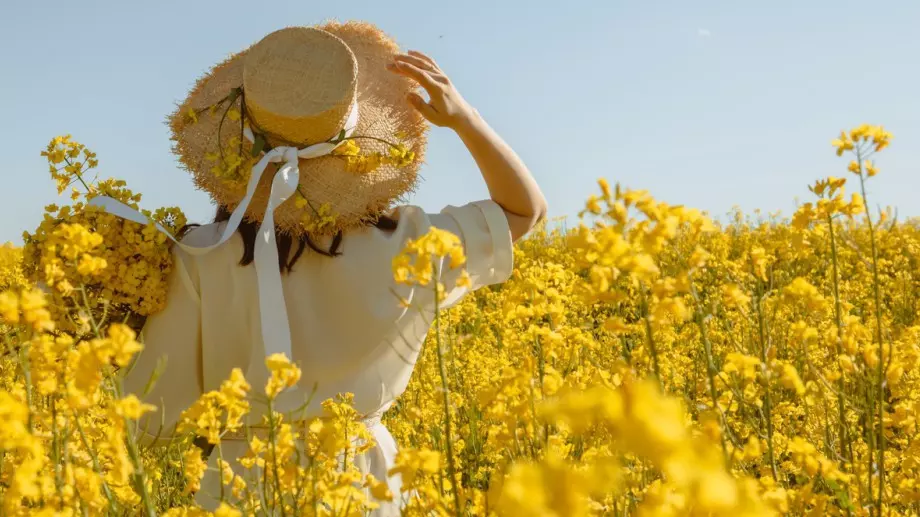 Ето кога настъпва астрономическото лято през 2023