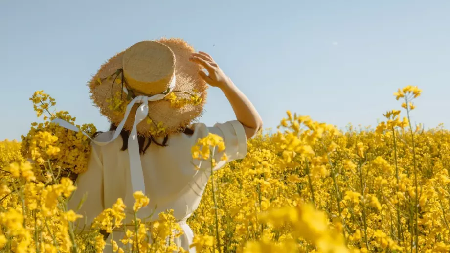 ТАРО КЪСМЕТЧЕ за всяка зодия - 21 юни 2023
