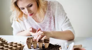 Как успешно да засеете семена на закрито през март