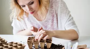 Как и колко често трябва да поливате разсада си