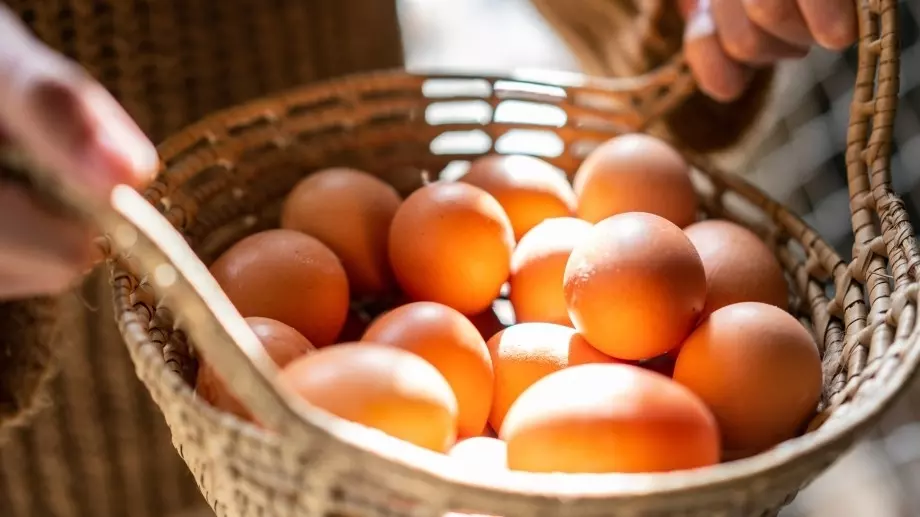 Какво значат етикетите на яйцата и как да изберете