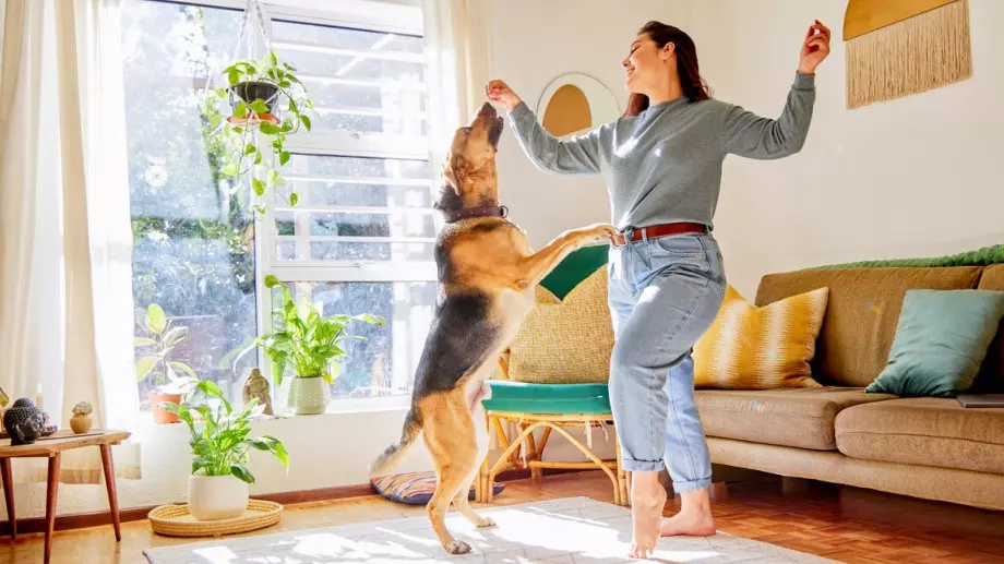 Само хората, които имат куче, ще разберат тази притча