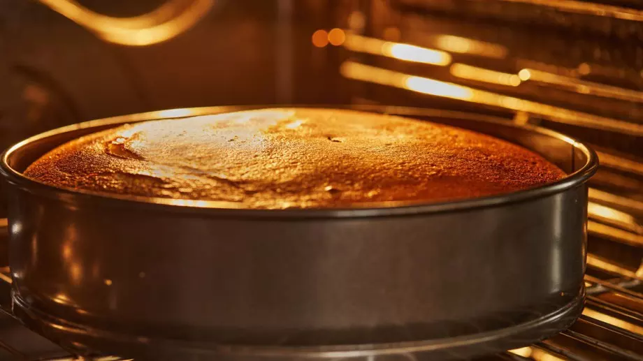 Супер мързелив тутманик