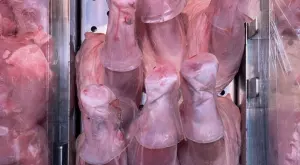 Вече вървят по-строгите проверки за яйцата и агнешкото по Великден