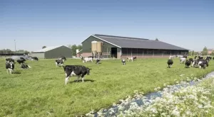 Броят на фермите в ЕС намаля с близо 40% за 15 години