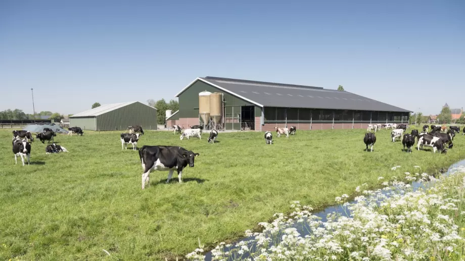 Броят на фермите в ЕС намаля с близо 40% за 15 години