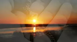 Виц за 26 юни 2023: Шофьор и свещеник при Свети Петър