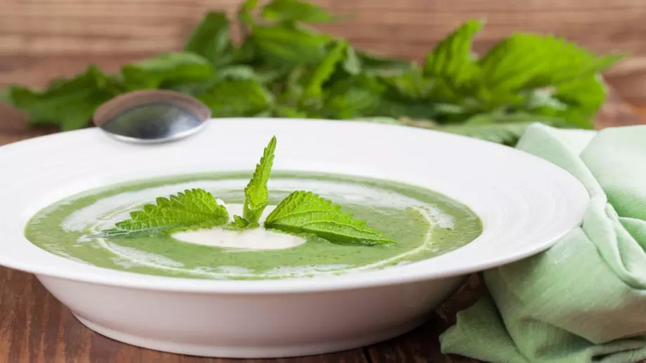 Бюджетна и полезна крем супа от коприва
