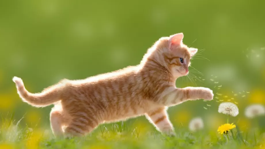 Какво време ни очаква през юли 2023?