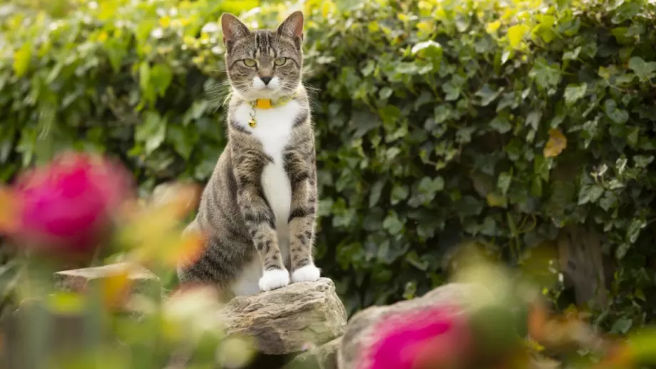 Странно време на 9 август 2023. Ето какво ще е то!