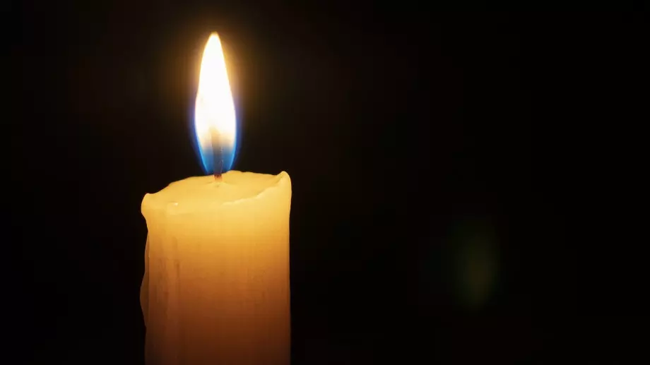 Това е животното, отнемащо най-много човешки животи на година