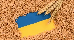 ООН иска Путин да удължи зърнената сделка в замяна на достъп до SWIFT