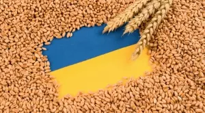 Народните представители решиха да отпадне забраната за внос на зърно от Украйна