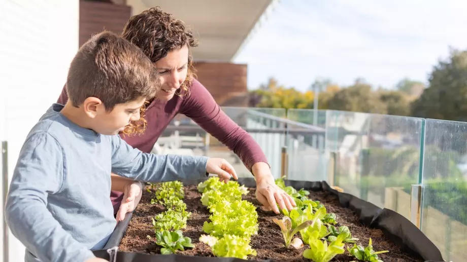 5 бързорастящи зеленчука за садене през март, които ще берете през МАЙ