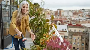 5 зеленчука, които можете да отглеждате на балкона