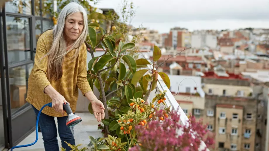 5 зеленчука, които можете да отглеждате на балкона