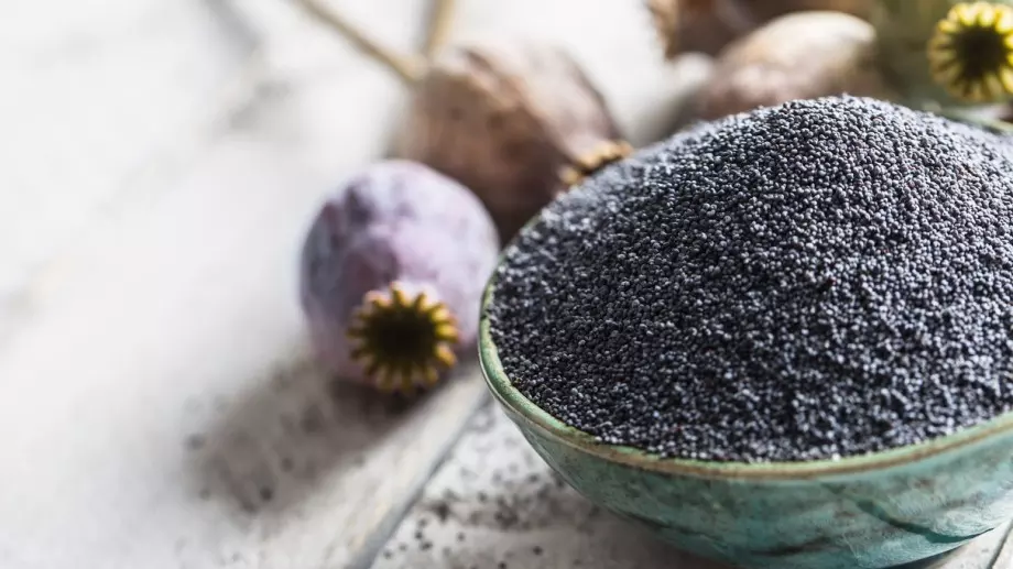  Дори не сте подозирали за тези ползи от маковото семе 