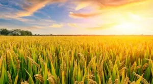 2023/04/19/0476549001681891873