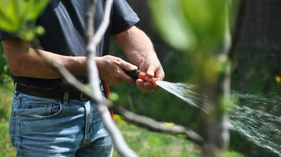Градински маркучи - какво трябва да знаем за най-използваното средство за поливане