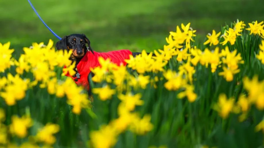 Лятото не е приключило съвсем! Вижте прогнозата за 18 август 2023