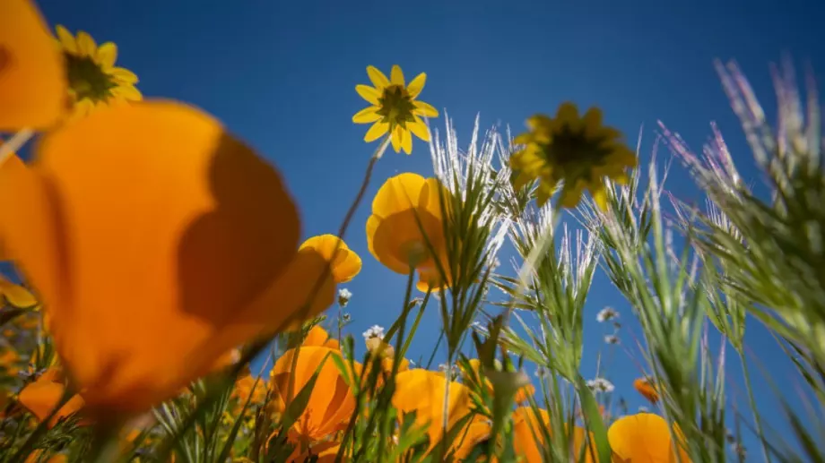 Странни промени във времето. Вижте прогнозата за 23 август 2023