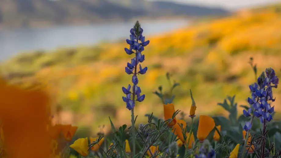 Нещо му става на това време! Вижте прогнозата за 17 август 2023