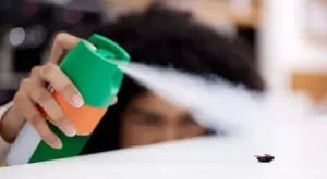 Никога не убивайте това насекомо, носи огромно нещастие