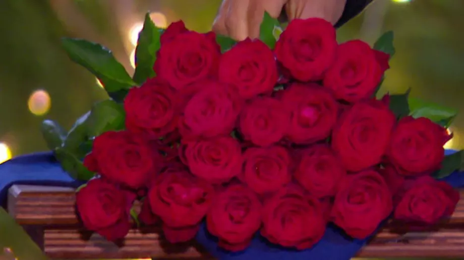 Уикипедия издаде победителката в 