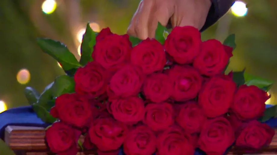 Последен опит! Две от предишните ергенки влизат в новия сезон на 