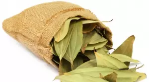 Дафинов лист - магнит за любов и пари, ето какво да направите