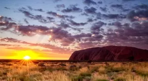 Съпротивата на фермерите затруднява преминаването на една страна към възобновяема енергия